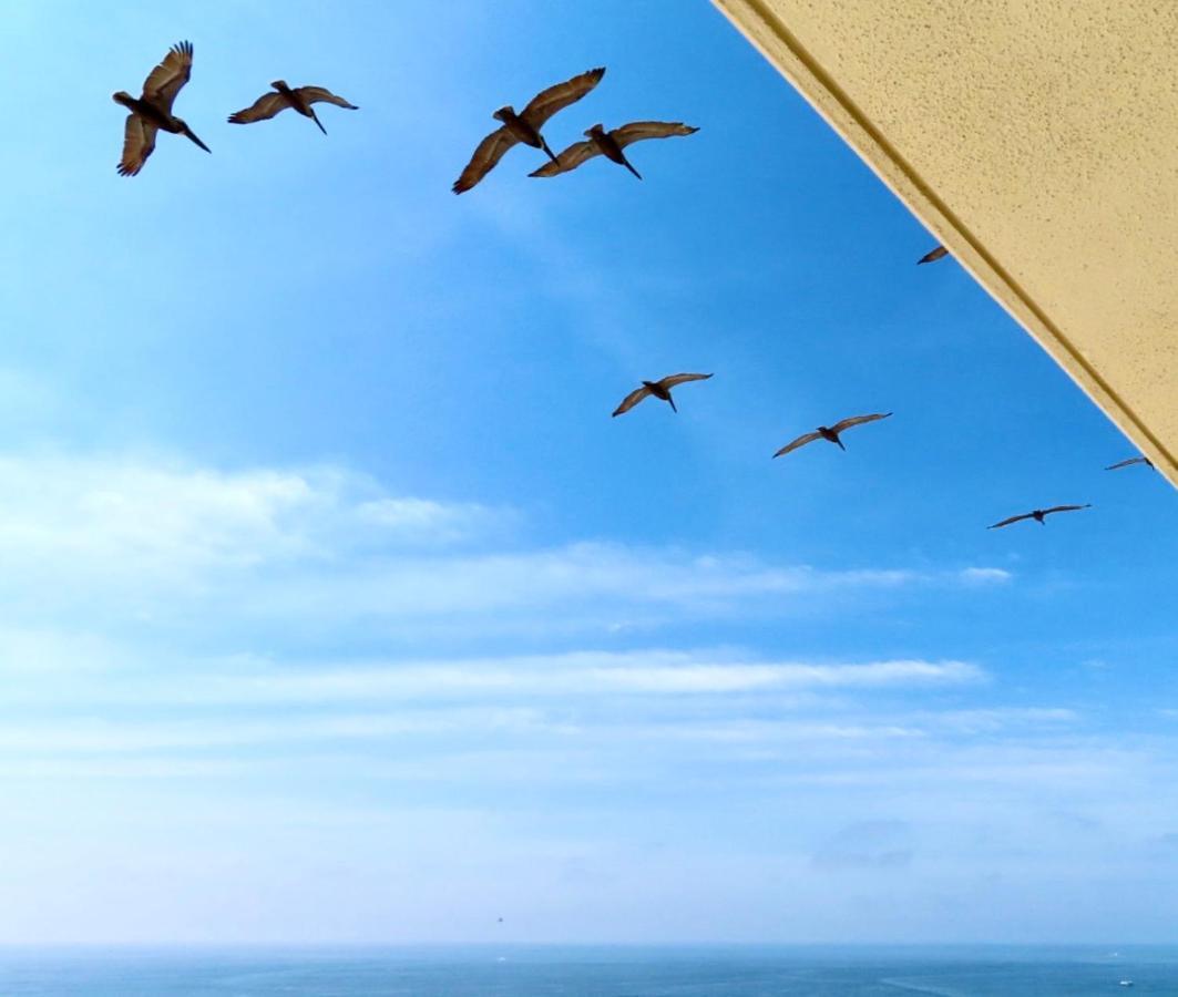 Just Updated - Beachfront Ocean View, 19Th Floor 데스틴 외부 사진